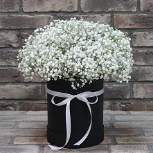 Цветочная композиция из Гипсофила в шляпной коробке #REPLACE_PRED# Большое Буньково